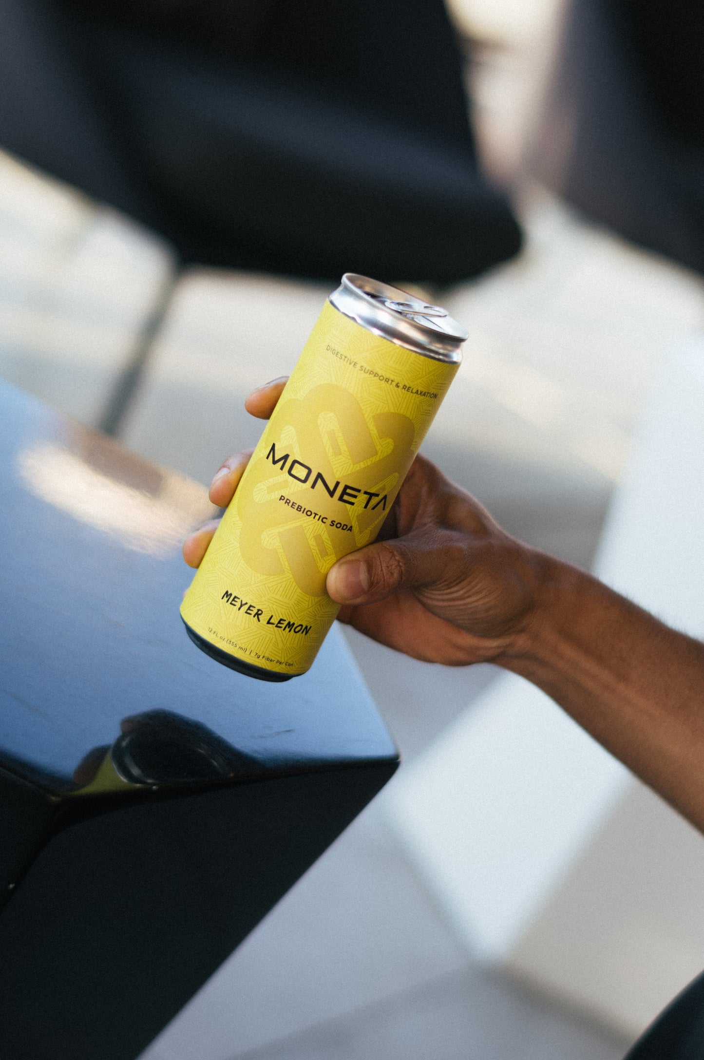 Moneta Meyer Lemon 12 pack - 12oz